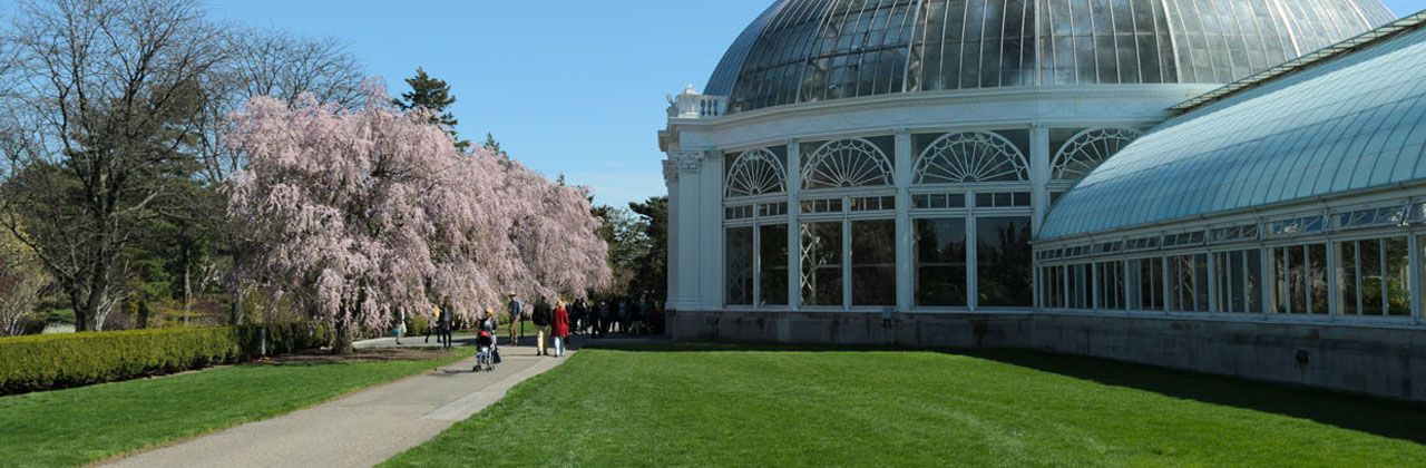 New York Botanical Garden