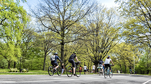 中央公园观光自行车游览与租赁